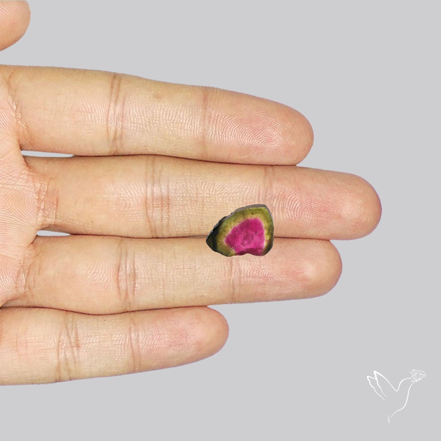 Watermelon Tourmaline Slice Rare