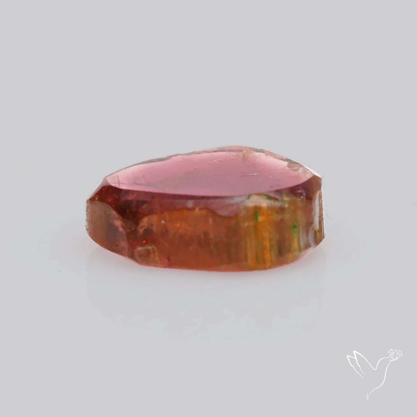 Watermelon Tourmaline Slice Rare