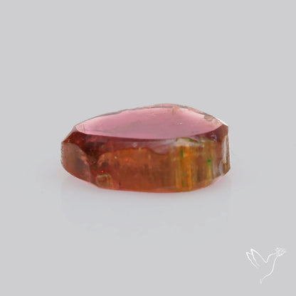 Watermelon Tourmaline Slice Rare