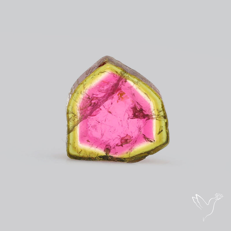 Watermelon Tourmaline Slice Rare Perfect Green Border