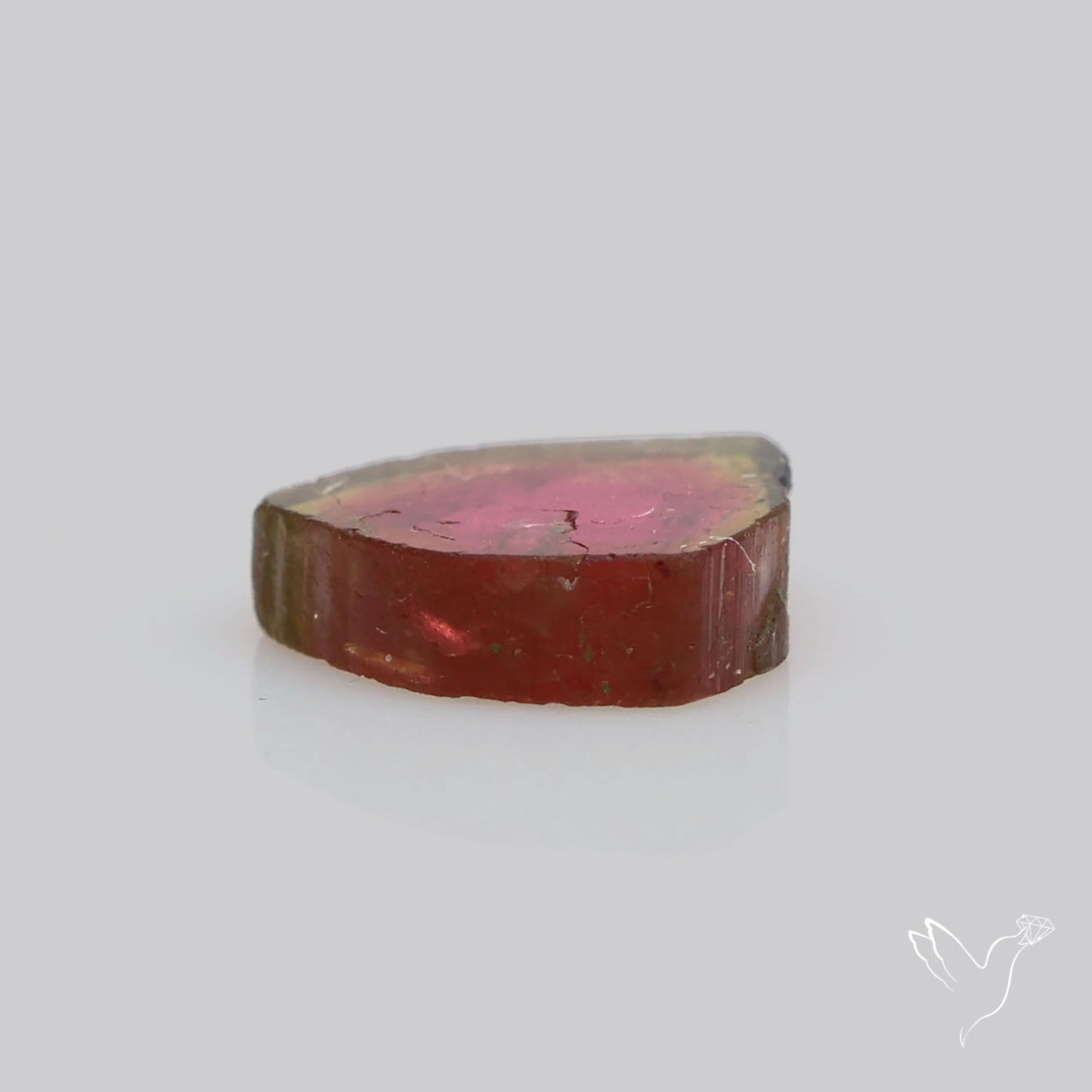 Watermelon Tourmaline Slice Rare Perfect Green Border