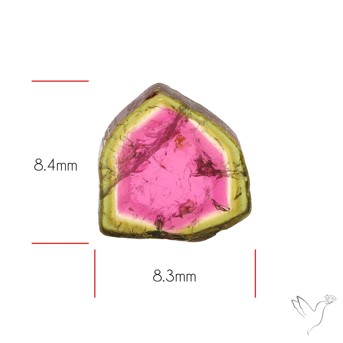 Watermelon Tourmaline Slice Rare Perfect Green Border