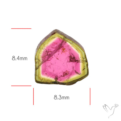 Watermelon Tourmaline Slice Rare Perfect Green Border
