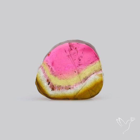 Watermelon Tourmaline Slice Rare