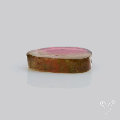 Watermelon Tourmaline Slice Rare