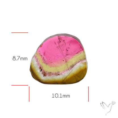 Watermelon Tourmaline Slice Rare