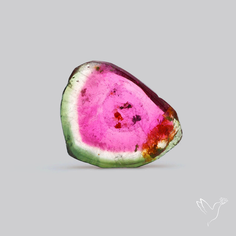 Watermelon Tourmaline Slice Rare