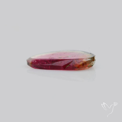 Watermelon Tourmaline Slice Rare