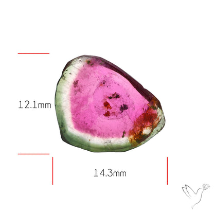 Watermelon Tourmaline Slice Rare