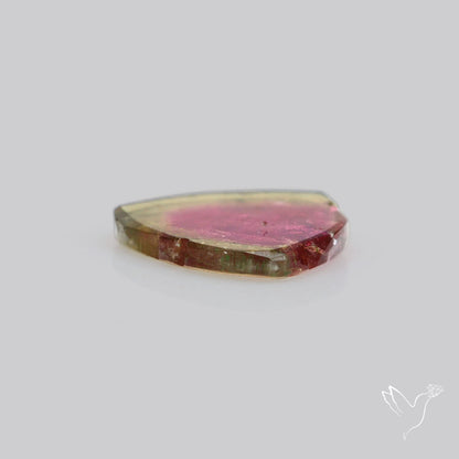 Watermelon Tourmaline Slice Rare Perfect Green Border