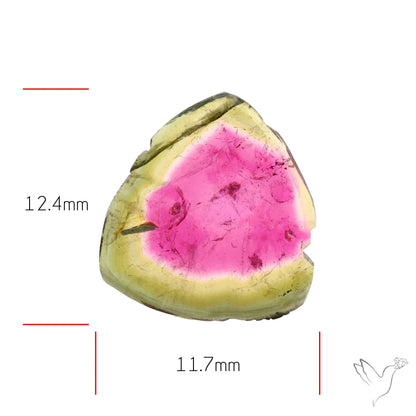 Watermelon Tourmaline Slice Rare Perfect Green Border