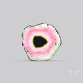 Watermelon Tourmaline Slice Rare Perfect Green Border