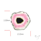 Watermelon Tourmaline Slice Rare Perfect Green Border