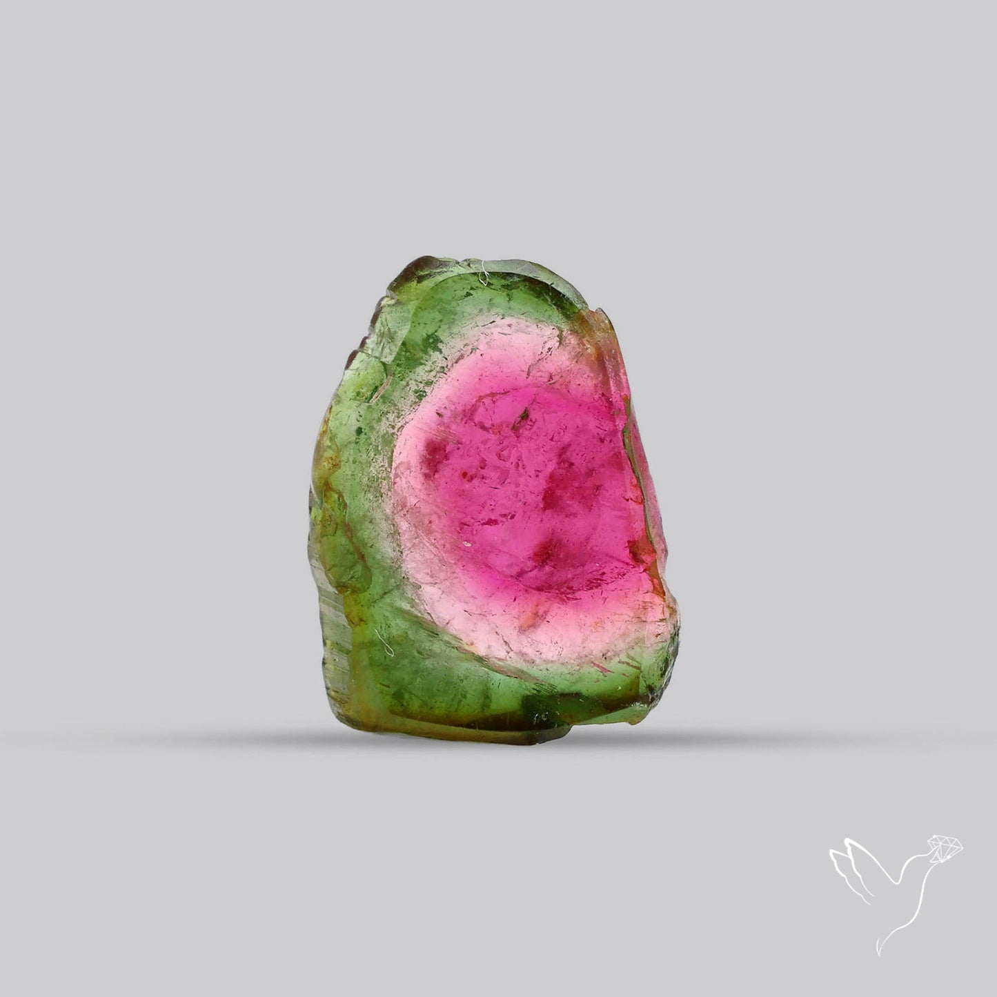 Watermelon Tourmaline Slice Rare Perfect Green Border
