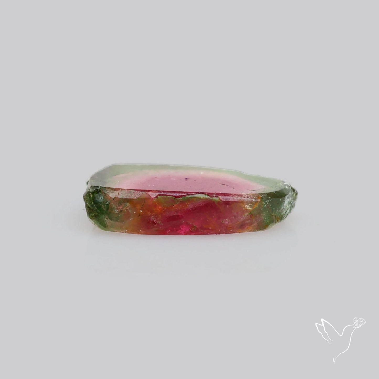 Watermelon Tourmaline Slice Rare Perfect Green Border