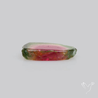 Watermelon Tourmaline Slice Rare Perfect Green Border