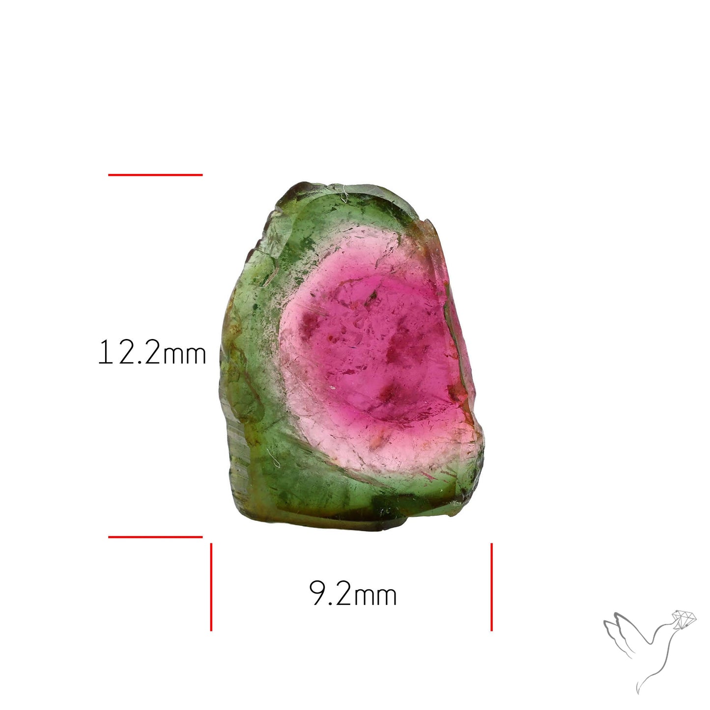 Watermelon Tourmaline Slice Rare Perfect Green Border