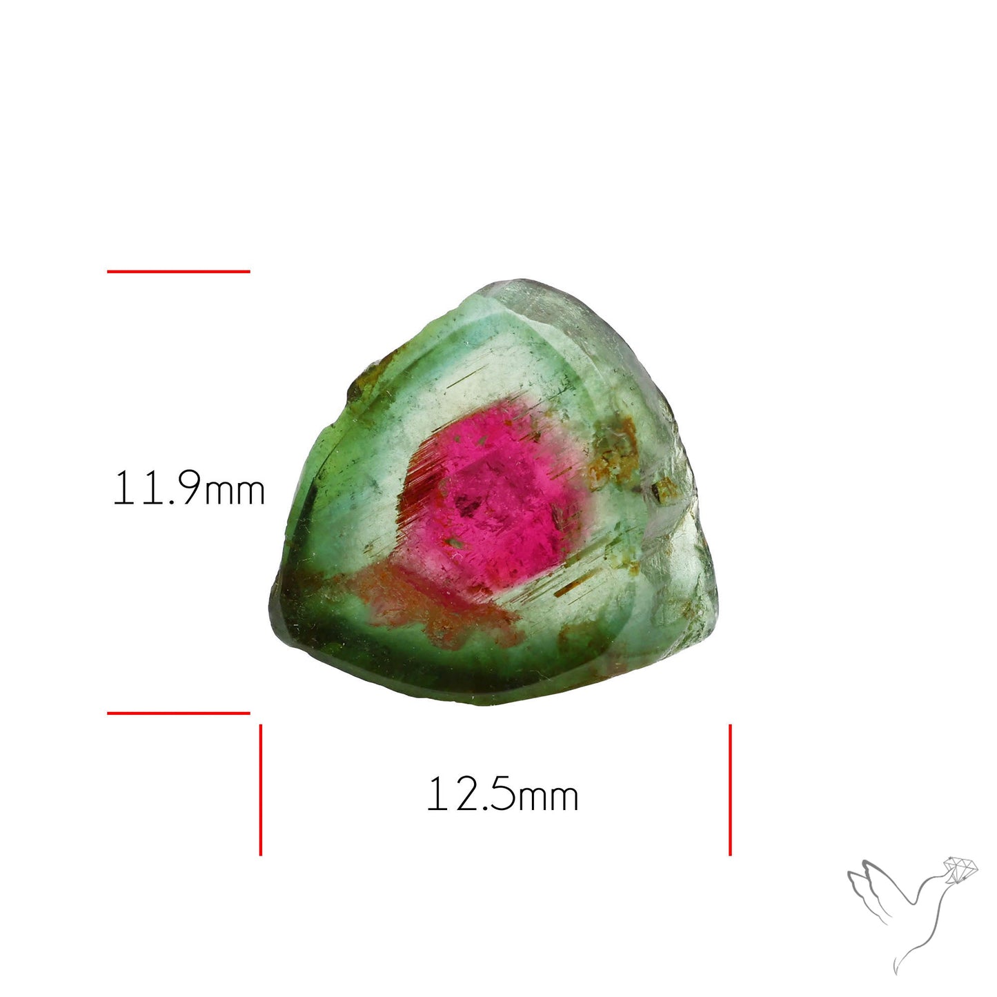 Watermelon Tourmaline Slice Rare Perfect Green Border