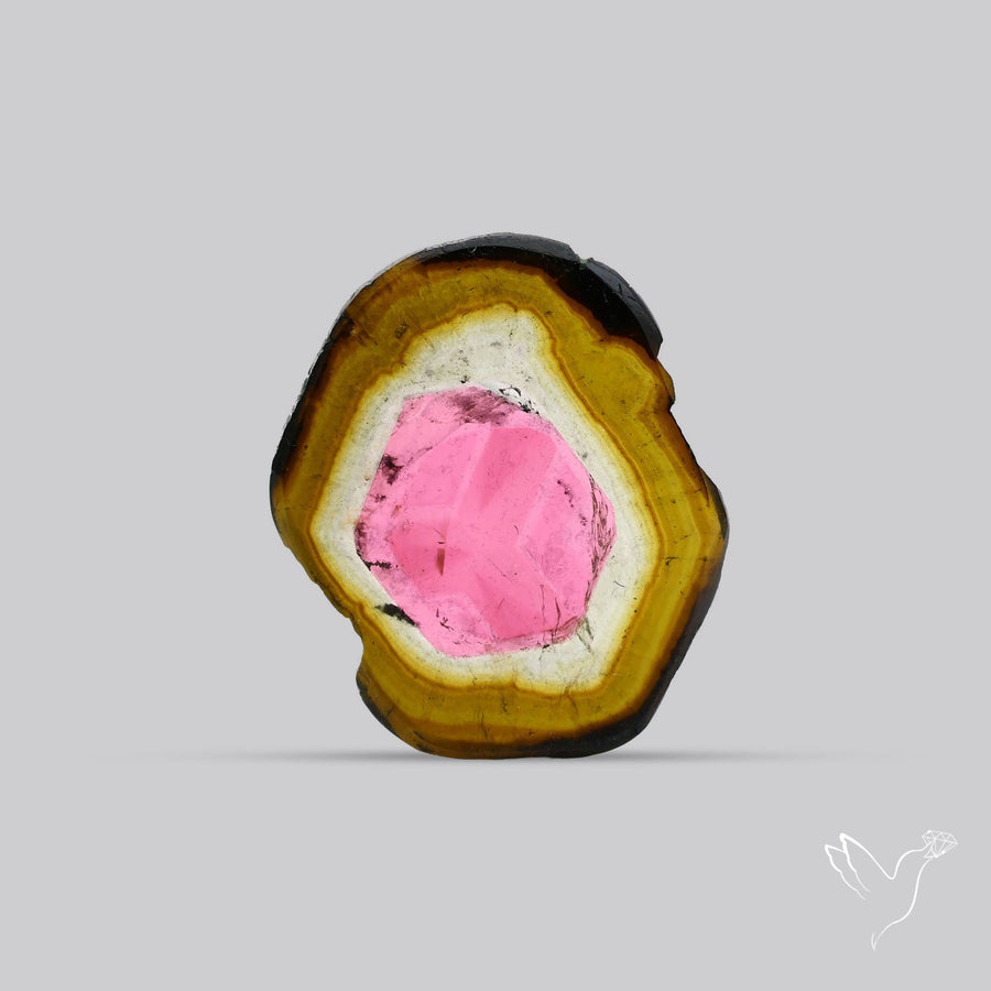 Watermelon Tourmaline Slice Rare Perfect Green Border