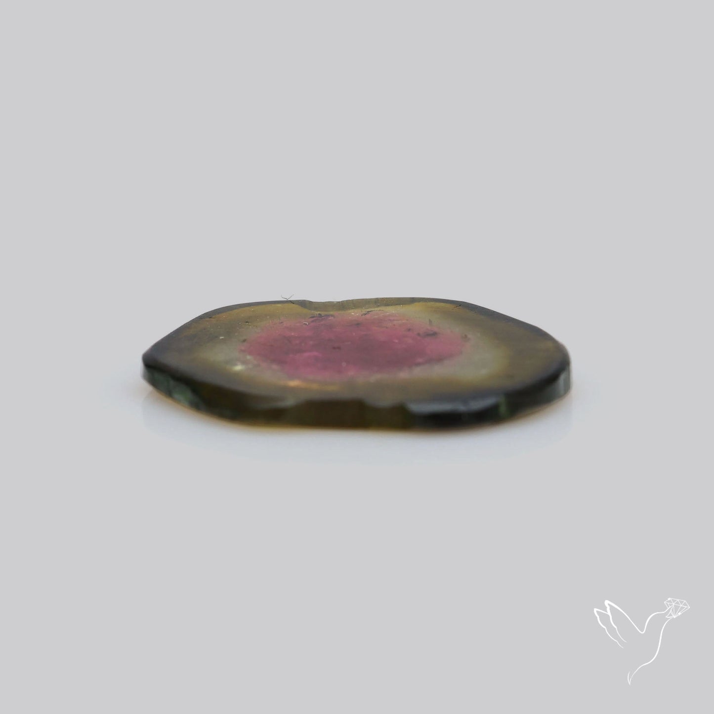Watermelon Tourmaline Slice Rare Perfect Green Border