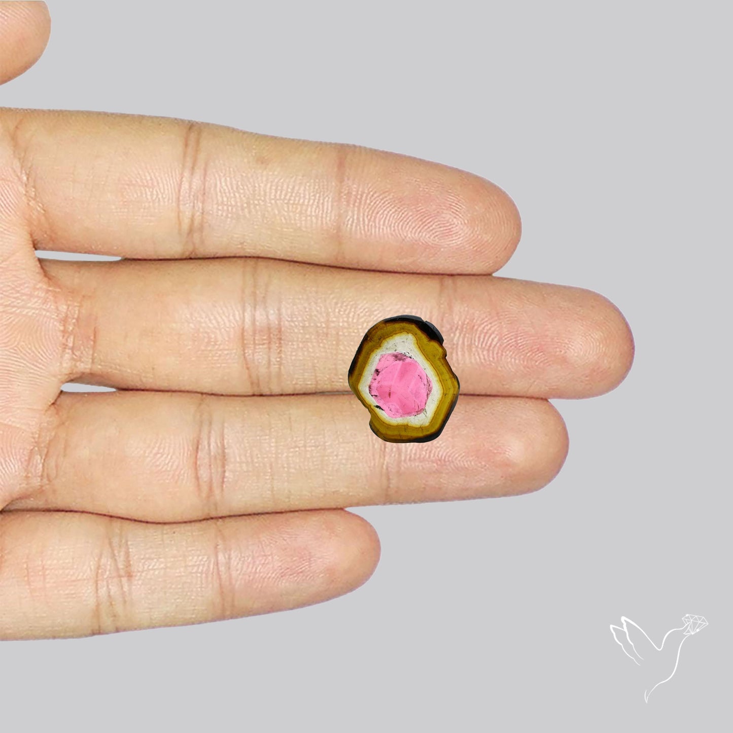 Watermelon Tourmaline Slice Rare Perfect Green Border