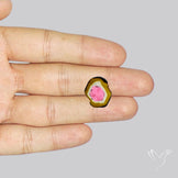 Watermelon Tourmaline Slice Rare Perfect Green Border