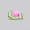 Watermelon Tourmaline Slice Rare