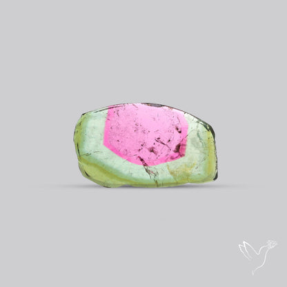 Watermelon Tourmaline Slice Rare