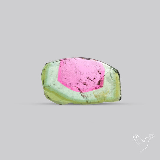 Watermelon Tourmaline Slice Rare