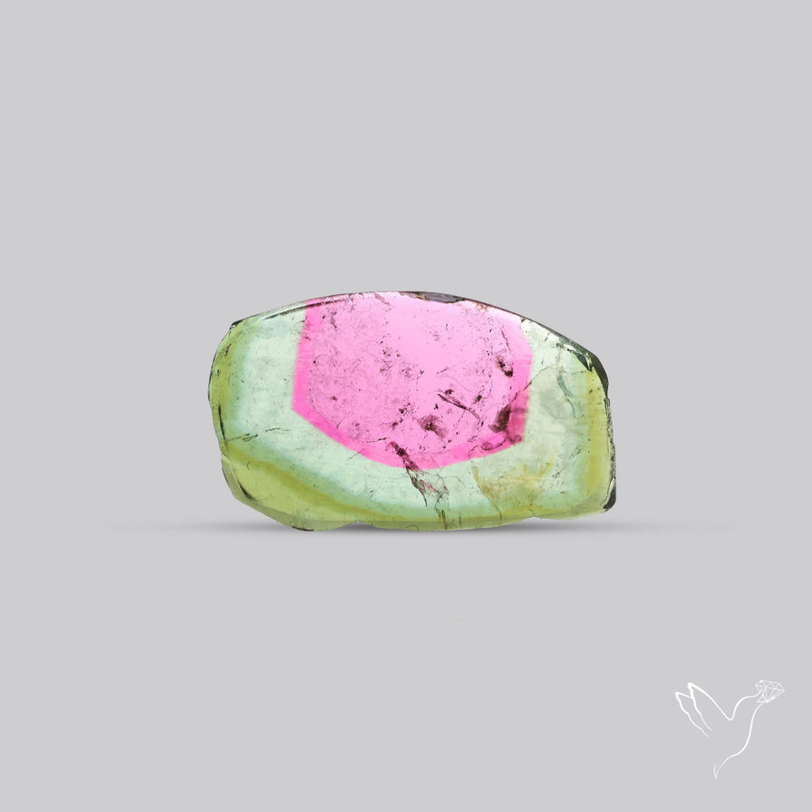 Watermelon Tourmaline Slice Rare