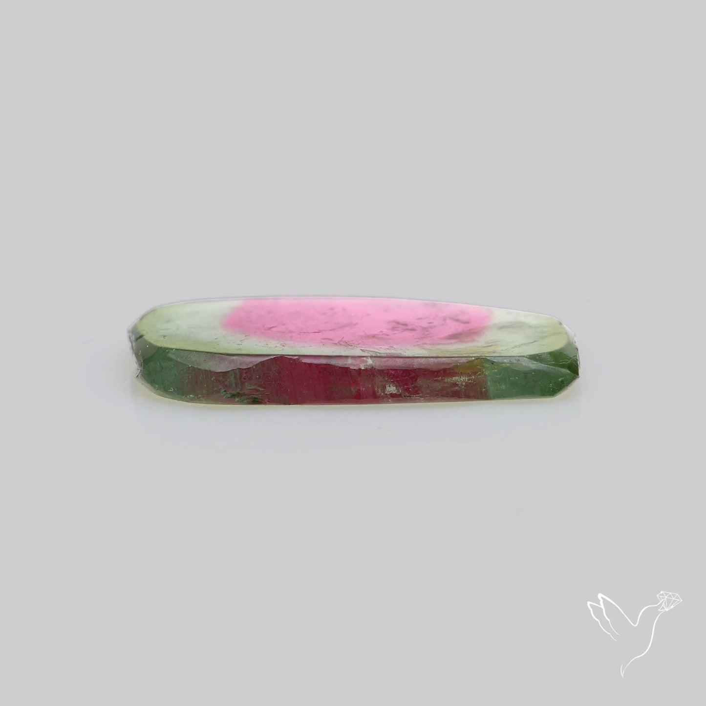 Watermelon Tourmaline Slice Rare