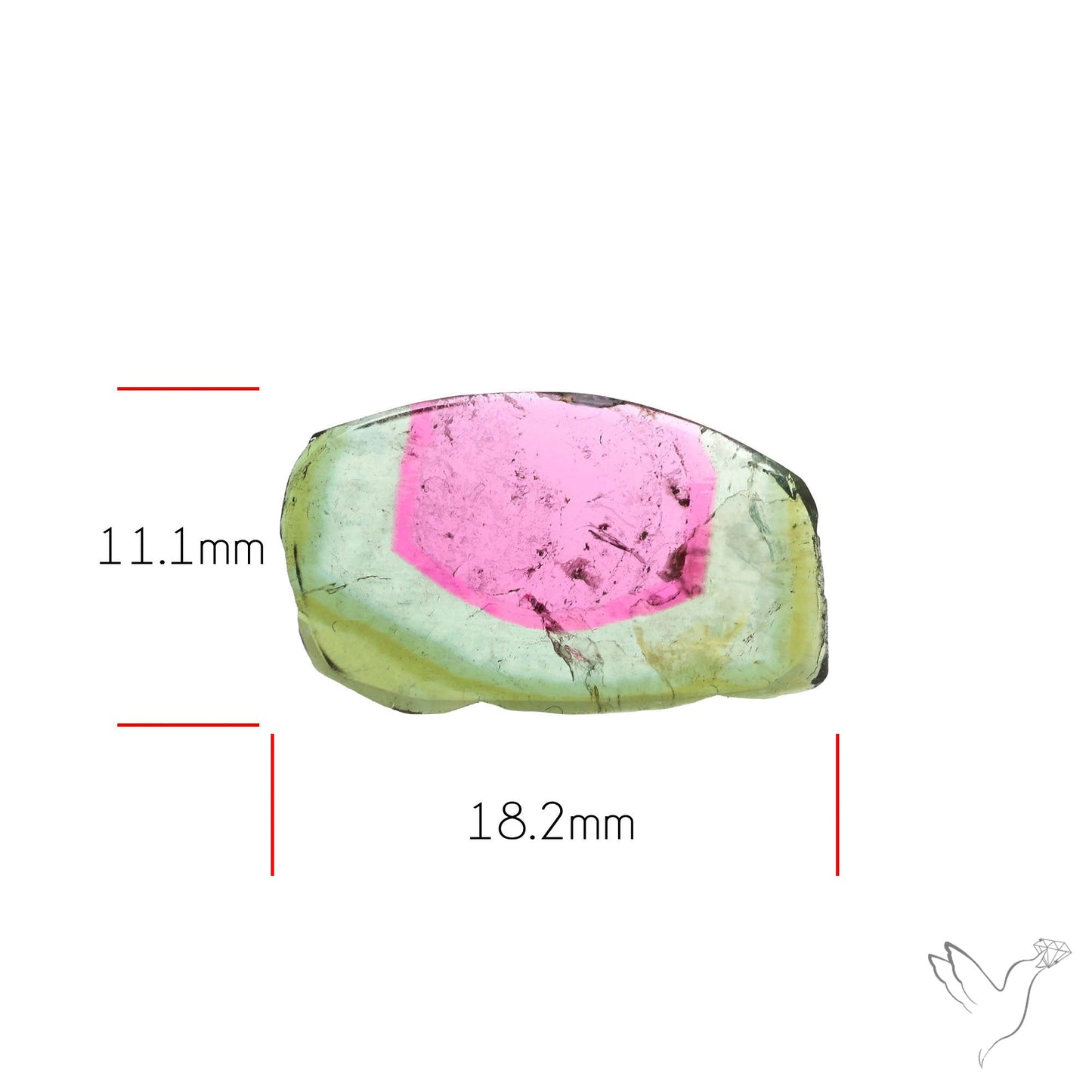 Watermelon Tourmaline Slice Rare