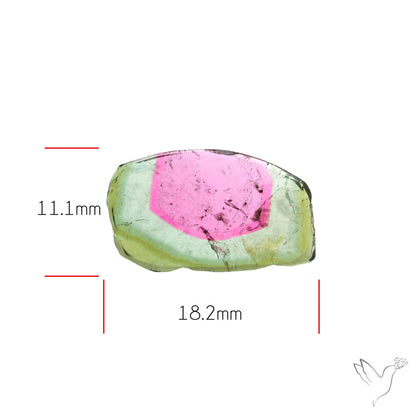 Watermelon Tourmaline Slice Rare