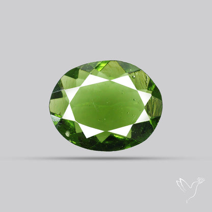 Faceted Rare Moldavite