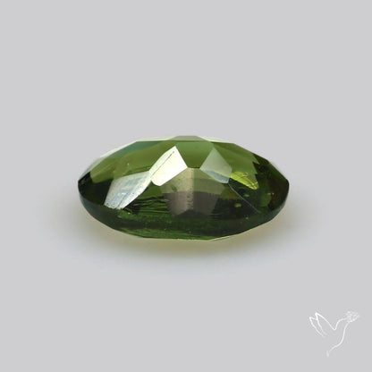 Faceted Rare Moldavite