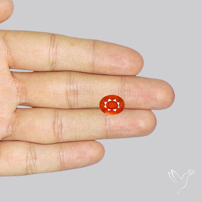 Faceted Spessartite Garnet – Natural Orange Garnet