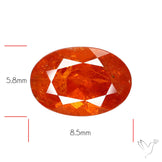 Faceted Spessartite Garnet ??? Natural Orange Garnet