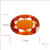 Faceted Spessartite Garnet ??? Natural Orange Garnet