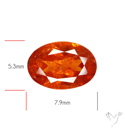 Faceted Spessartite Garnet – Natural Orange Garnet