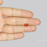 Faceted Spessartite Garnet ??? Natural Orange Garnet