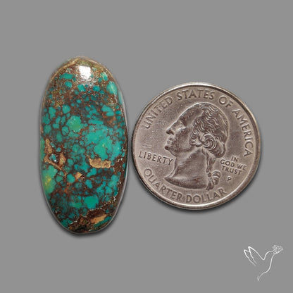 Blackjack Turquoise Cabochon