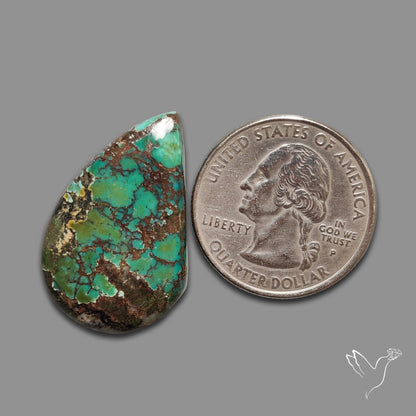 Blackjack Turquoise Cabochon