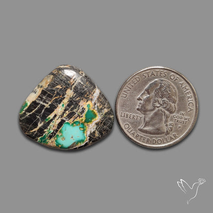 Blackjack Turquoise Cabochon