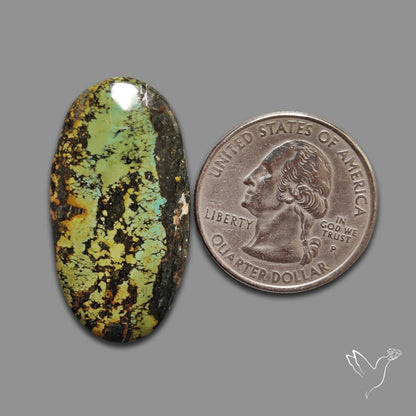 Blackjack Turquoise Cabochon
