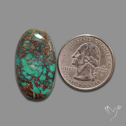 Blackjack Turquoise Cabochon