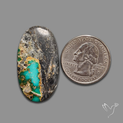Blackjack Turquoise Cabochon