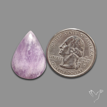 Kunzite Cabochon