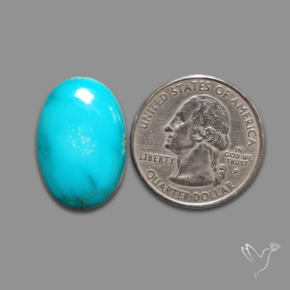 Kingman Turquoise Cabochon