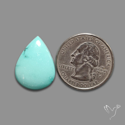 Kingman Turquoise Cabochon