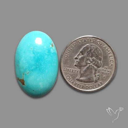 Kingman Turquoise Cabochon